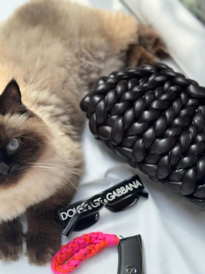 BlackBerry Bag