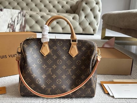 شنطة لويس فيتون سبيدي 30 ماستر