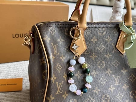 شنطة لويس فيتون سبيدي 30 ماستر