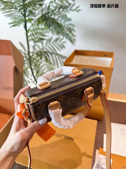 لويس فيتون سبيدي speedy حجم نانو ماستر كواليتي