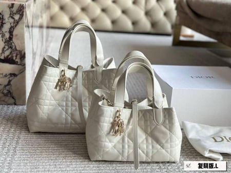 شنطة ديور ماستر كواليتي