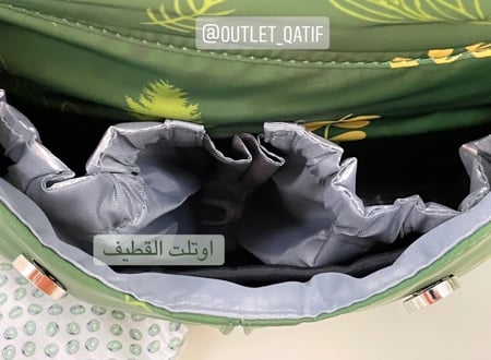 شنطة مواليد ظهر ديزني