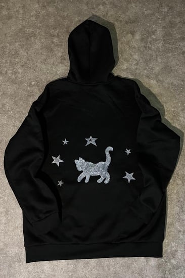 Hoodie cat