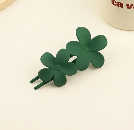 مسكة شعر جميلة بألوان متعددة .