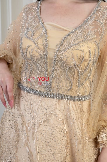 فستان سهرة ذهبي راقٍ بأكمام شفافة وتطريز ملكي - تصميم فخم وأناقة لا تُضاهى.