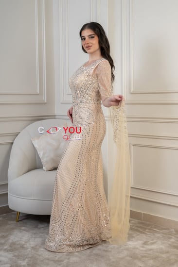 فستان سهرة شامبين راقٍ بتطريز لامع وقصة ناعمة مع أكمام شفافة.