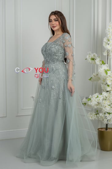 فستان سهرة فاخر بتطريز لامع وأكمام شفافة بتصميم راقي