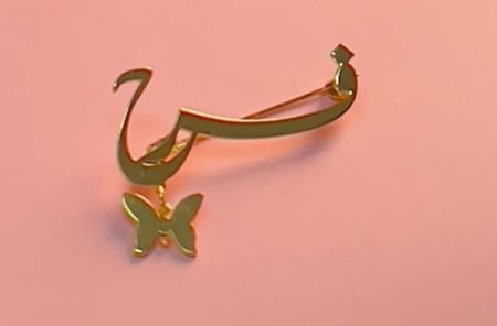 بروش الفراشه