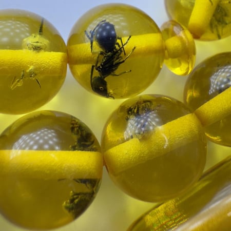 سبحة بكلايت محشره (نمل) كامل