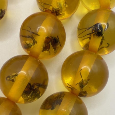 سبحة تراب الكهرمان الروسي (محشر نمل اسود)