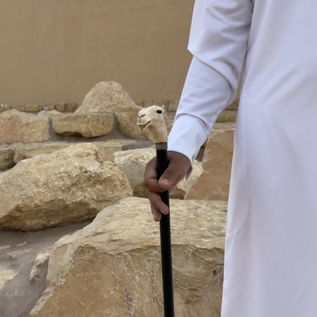 عصا رأس الجمل لون أبيض