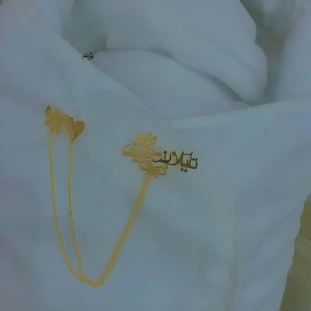 بروش الفراشة بالاسم