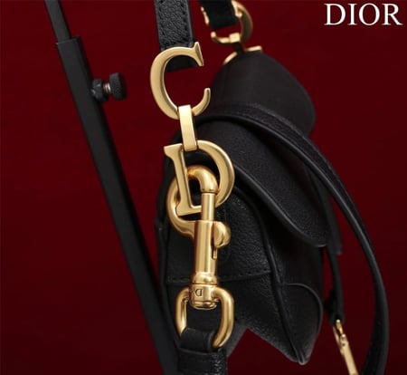 شنطة ديور Saddle