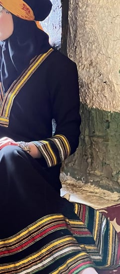 فستان المصنف