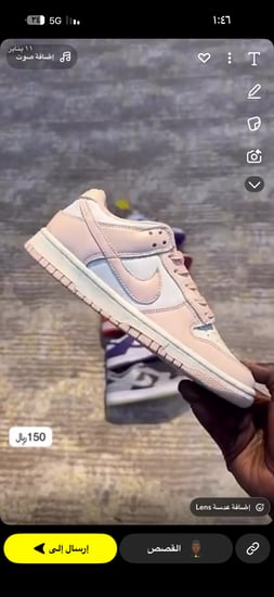Nike dunk