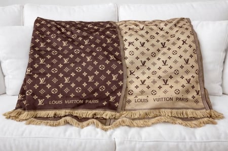 Louis Vuitton Monogram Scarf