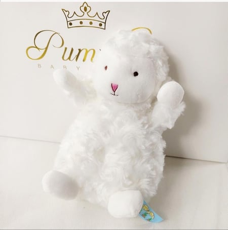 شنطة ملابس المواليد الجنتل الصغير