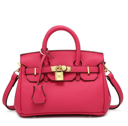 Birken Bag fushi  ميني بيركن ( فوشي)