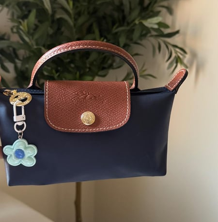 شنطة لونج شامب  Longchamp-xs