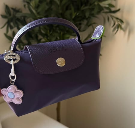 شنطة لونج شامب  Longchamp-xs