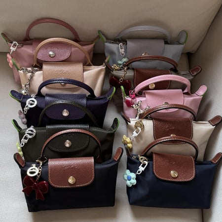 شنطة لونج شامب  Longchamp-xs