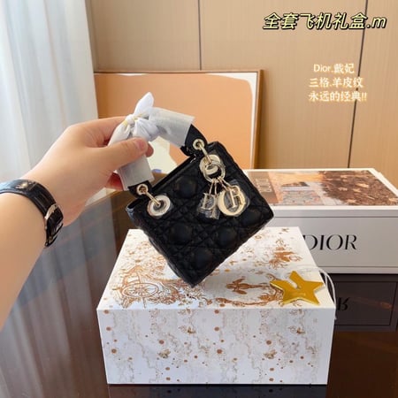 ديور ميني مقاس 17 سم