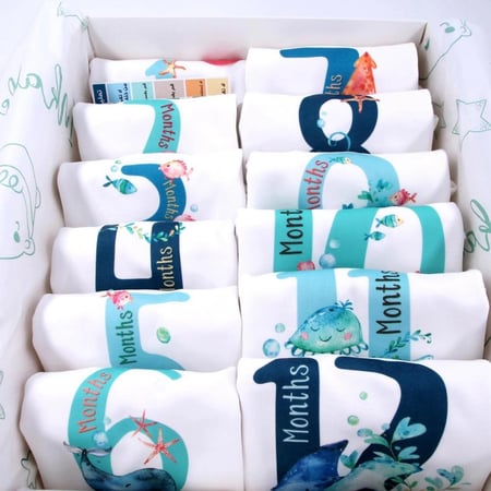 طقم الاشهر ثيم عالم البحار - Under the Sea Set of 12