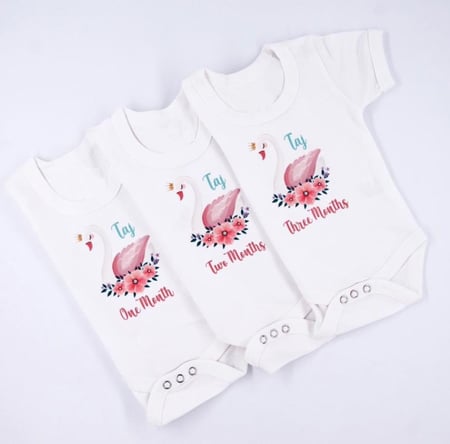 مجموعة الشهور ثيم الوز - Swan Set of 12