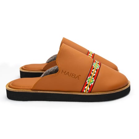 الإصدار الشتوي