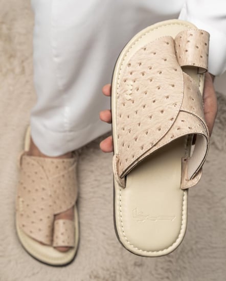 نقشة النعام 2