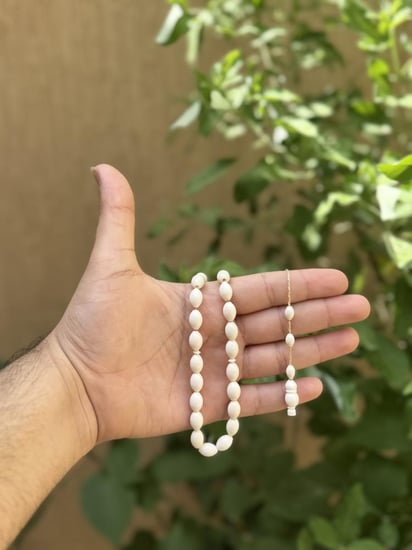 سبحة عظم ساق جمل