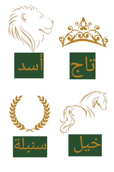 فروه شتوية أنيقة مع السدو