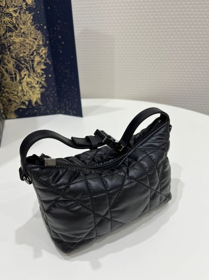 DiorTravel Nomad Pouch