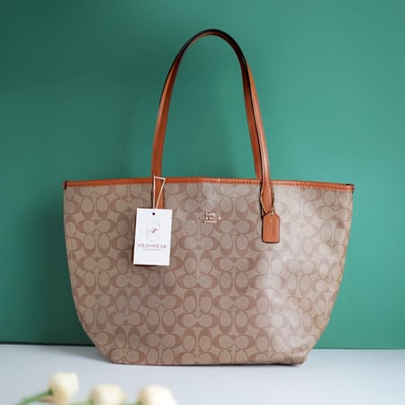 شنطة كوتش  سيتي توت باق CO120