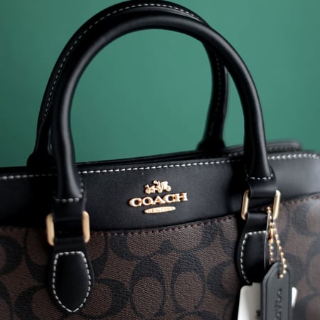 شنطة كوتش دارسي كارييل CO180