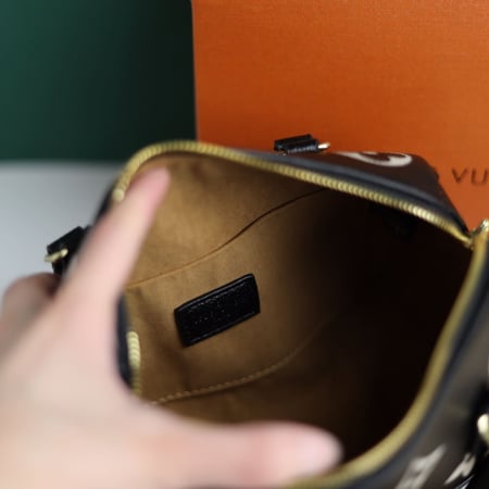 شنطة لويس فيتون سبيدي 25 LF160