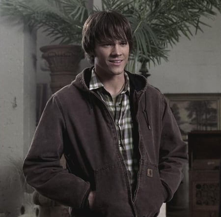 Carhartt vintage hoodie jacket