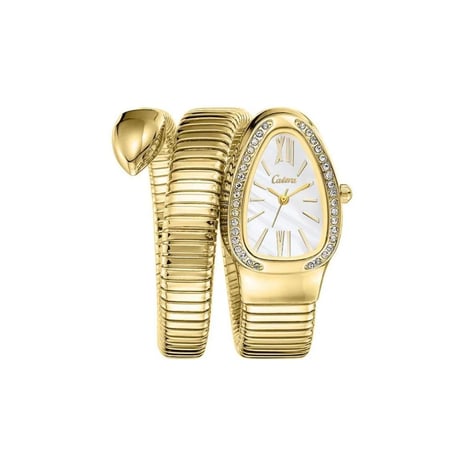 ساعة Catera مع الملحقات