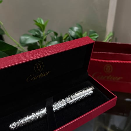 قلم كارتير فخم مع الملحقات