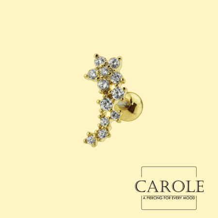 باهرة (طبي ستيل)