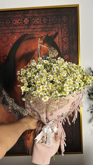 باقة اقحوان مع شال كشميري