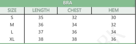 Sky padded sport bra