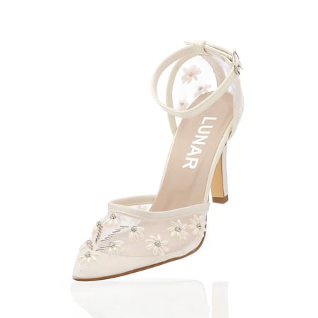أقحوان لونر ستيلتو