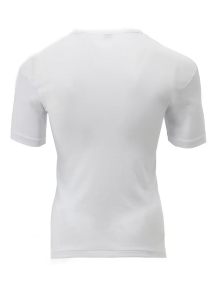 فنايل بنتل تايواني دائري