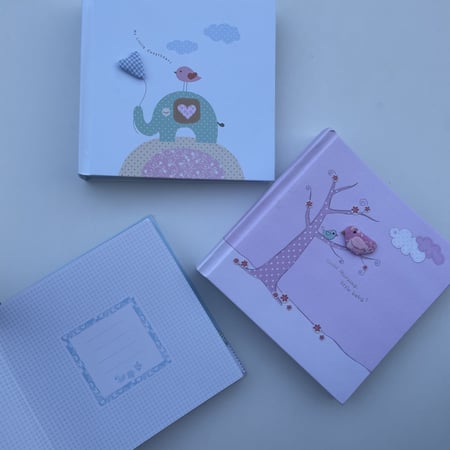 البوم الصور