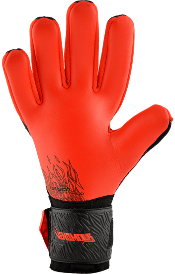 قفاز روش فينو موس سيلفر ان سي