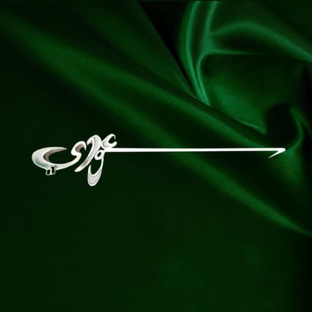 بروش فضه كلمة "سعودي"
