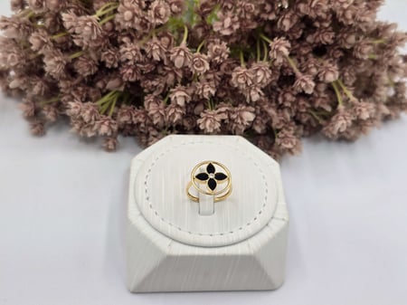 طقم روبرتو كوين