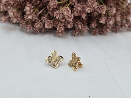 حلق روبرتو كوين