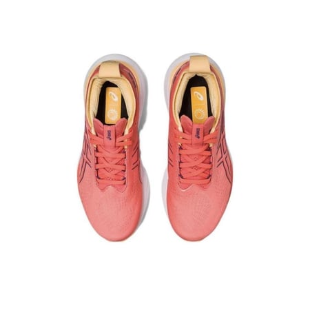 Asics Gel-Nimbus25